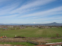 middle